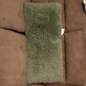 Green Fuzzy Pillow